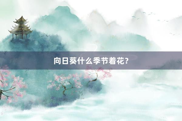 向日葵什么季节着花？