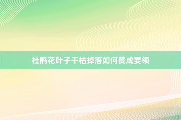 杜鹃花叶子干枯掉落如何赞成要领