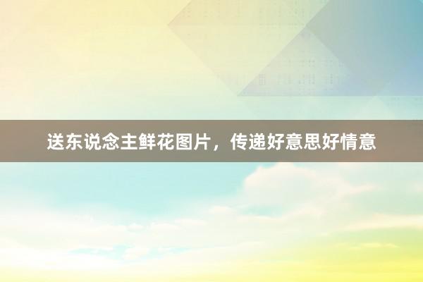送东说念主鲜花图片，传递好意思好情意