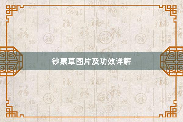 钞票草图片及功效详解