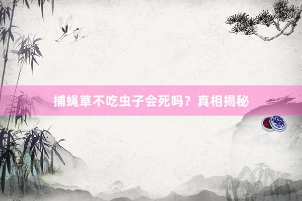 捕蝇草不吃虫子会死吗？真相揭秘