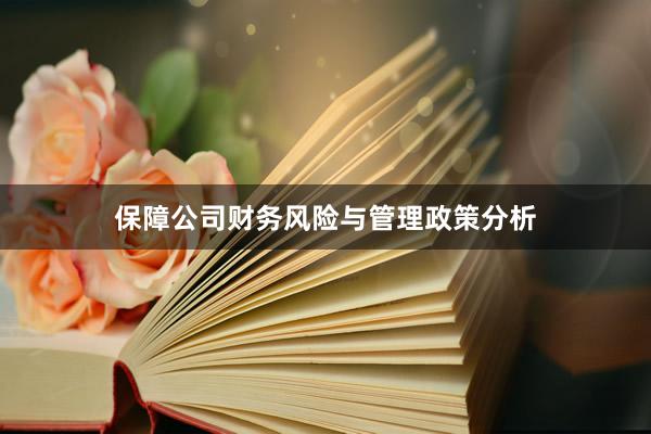 保障公司财务风险与管理政策分析